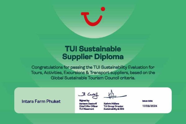 Sustainability - Certificate - Intara