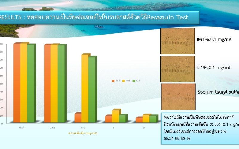 LINE_ALBUM_หน้าที่3 งานวิจัย2_250509_13