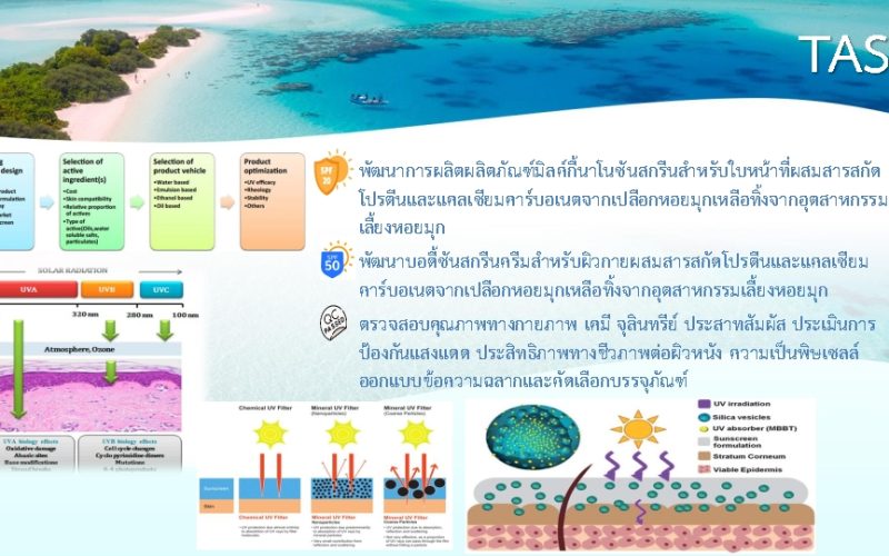 LINE_ALBUM_หน้าที่3 งานวิจัย2_250509_4